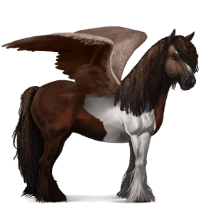 ridpegasus tinker mörkbrun tobiano