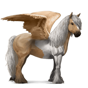 ridpegasus tinker isabell tobiano