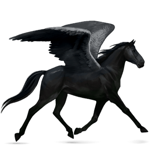 ridpegasus lusitano apelgrå