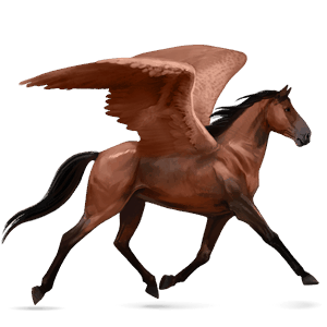 ridpegasus fransk travare mörkfux