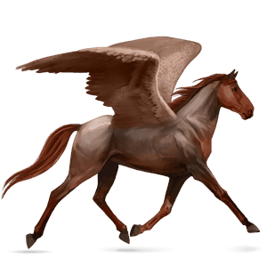 ridpegasus svart