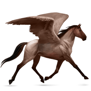 ridpegasus tinker brun tobiano