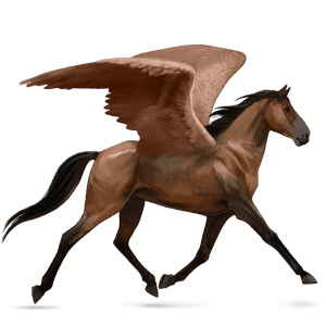ridpegasus hannoveranare körsbärsbrun