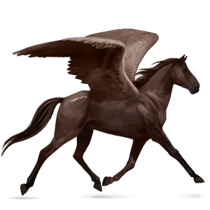ridpegasus lusitano brun
