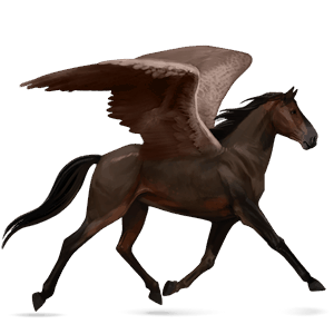 ridpegasus fransk travare mörkbrun