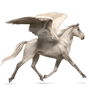 ridpegasus argentinsk criollo fux