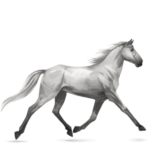 ridhäst lipizzaner avblekbar skimmel