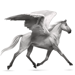 ridpegasus akhal-teke avblekbar skimmel