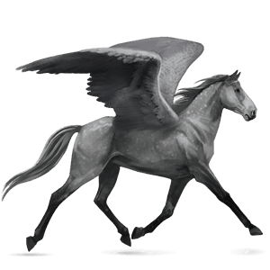 ridpegasus lusitano apelgrå