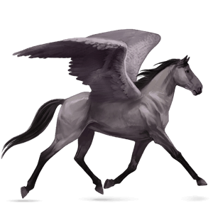 ridpegasus brun