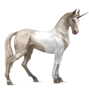 ridenhörning cremello tobiano