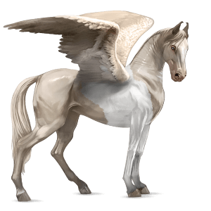 ridpegasus marwari cremello tobiano