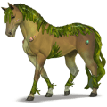 den gudomliga hästen alga