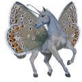 ridhäst lusitano svart
