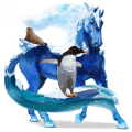 ponny shetlandsponny mörkbrun