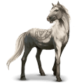 vildhästen camargue