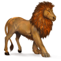 vildhästen afrikanskt lejon