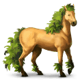 ridhäst akhal-teke isabell