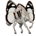 bevingad enhörningsponny  kerry bog musblack tobiano