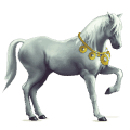 ridhäst lusitano apelgrå