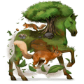 ponny welshponny mörkbrun