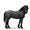 den förhistoriska hästen skogshäst