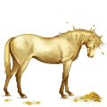 ridhäst lusitano avblekbar skimmel