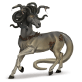 ridhäst lusitano brun