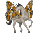 ridhäst lusitano gulvit