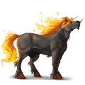 ridhäst lusitano gulvit
