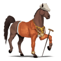 ridhäst lusitano gulbrun
