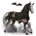 ponny fjording brunblack