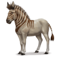 den förhistoriska hästen europeisk vildåsna