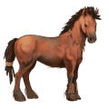 ridhäst lusitano mörkbrun