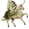 ridhäst lusitano mörkbrun