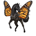 ridhäst lusitano brun