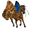 ridpegasus gulvit