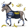 ridhäst lusitano gulvit