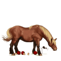 ridhäst lusitano gulbrun
