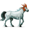 ridhäst lusitano mörkbrun