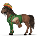 ponny welshponny svart
