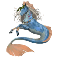 ponny welshponny linfux 