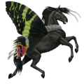 ridpegasus lusitano mörkfux