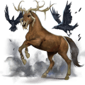 ridpegasus mörkbrun