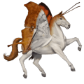 ridhäst irish hunter fux