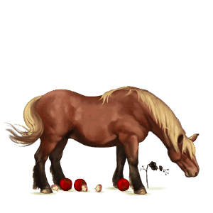 ponny haflinger linfux 