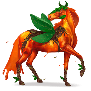 teadarjeeling