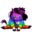 compagnonpinatasecretrainbow